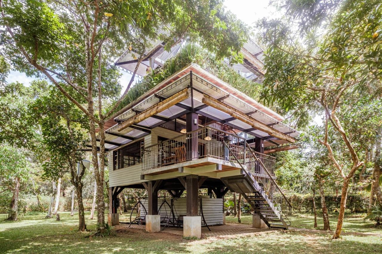 Pintoresco Anuling Habitación foto